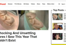 buzzfeed